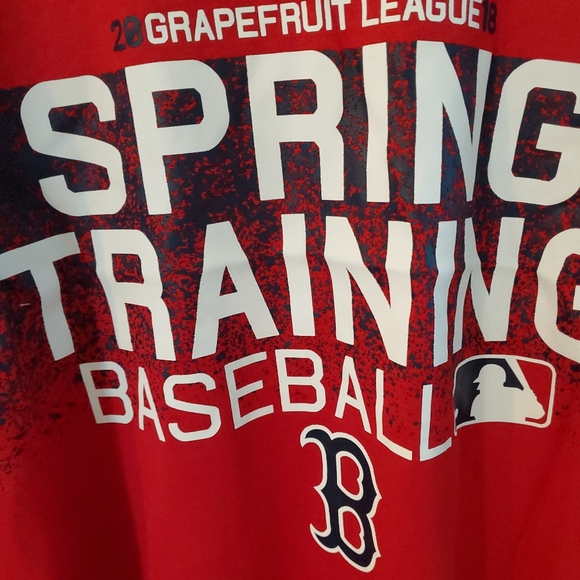 NIKE MLB Spring Training Dri Fit Shirt - Picture 3 of 10